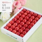 さくらんぼ 母の日さくらんぼ 佐藤錦 職人詰め 2L 300g 手詰め (清川屋の母の日 清川屋のサクランボ 温室そだち)