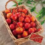 さくらんぼ 紅秀峰 秀選 バラ詰め L〜2L 混合 1kg 山形県産 ギフト ご家庭用 秀選紅秀峰 (清川屋のサクランボ)