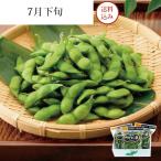 清川屋のだだちゃ豆 小真木（300g×3袋）