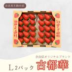  Nara префектура производство старый столица .(. или ) клубника L размер 15 шарик ×2 упаковка .. для прохладный рейс 