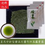 芽茶 プレゼント お茶 緑茶 宇治茶 