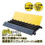 極太収納タイプ・プロ PG-3PRO 送