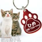 猫用 迷子札 アルミ版 名入れ プレゼント ギフト ネコ ねこ 猫 ペット 名札 名前入り 誕生日 記念日