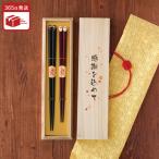 プレゼント 夫婦箸 ギフト 桐箱入り 若狭塗 ふくろう 箸 ペア セット 米寿 お祝いの品 還暦 古希 喜寿 傘寿祝い 両親 贈呈品 めおと箸 祖父母 80代