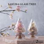 サクラ 雑貨 Sakura Glass Tree / サクラガラスツリー ドライフラワー おしゃれ 春 さくら ギフト 桜 インテリア雑貨 ボトルフラワー 卓上