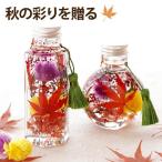 敬老の日 花 プレゼント ギフト 紅葉 もみじ ハーバリウム S おしゃれ お花 還暦祝い 女性 結婚記念日 誕生日 祖母 60代 70代 80代 定年 退職祝い