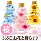  брак праздник . цветок подарок подарок season tree гербарий Sakura подсолнух blue star день рождения модный . работа праздник . женщина .40 плата 50 плата 60 плата 