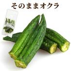  овощи chip s подарок маленький подарок абельмош chip угол пакет ввод сладости рука земля производство обычная температура день держать рисовые крекеры sake. кнопка, ручка настройки закуска абельмош здоровый . распределение .