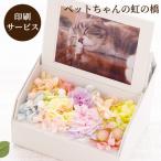  домашнее животное .... цветок подарок ... радуга. . фото box фоторамка собака кошка товар . цветок фоторамка консервированный цветок . цветок . цветок подарок 