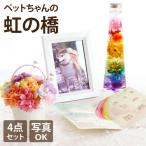 ペット お彼岸 お供え 花 虹の橋 トゥインクル & シャイニー セット お悔やみ プリザーブドフラワー ハーバリウム 枯れない花 犬 猫 うさぎ 供花 仏花