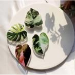  смартфон рукоятка pop рукоятка смартфон кольцо подставка функция iphone смартфон планшет соответствует PayPay