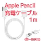 Apple Pencil no. 1 поколение зарядка кабель 1m ( USB - подсветка женский ) Apple авторучка порог двери зарядка бесплатная доставка #