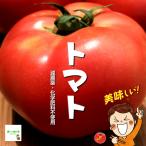  помидор . пестициды * химия удобрение не использование Saitama префектура производство 1 пакет 2~3 шт [ жара . время. обычная температура рейс рассылка OK!]