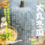  большой круг зима . культивирование период средний пестициды не использование круг ..1 шт!