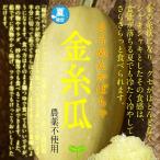  вермишель тыква золотой нить . культивирование период средний пестициды не использование 1 шт 