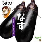  баклажан . пестициды * химия удобрение не использование Saitama префектура производство 1 пакет 3~4шт.@(* немного царапина . есть возможность есть ) [ жара . время. обычная температура рейс рассылка OK!]
