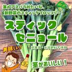  палочка senyo-ru( стебель брокколи ) низкий пестициды * химия удобрение не использование Saitama префектура производство 1 пакет примерно 150g
