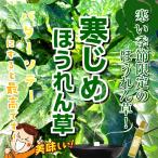  холод .. шпинат ( холод затянуть ) культивирование период средний пестициды ..( низкий пестициды ) 1 пакет примерно 200g