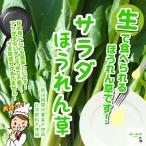  салат шпинат * пестициды . химия удобрение. использование не делаем Saitama префектура производство 1 пакет примерно 100g