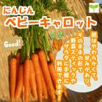  baby Carrot культивирование период средний пестициды ..( низкий пестициды ) 1 пакет * время в зависимости. лист имеется . нет также бывает 