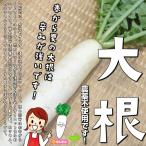  дайкон * пестициды . химия удобрение. используя не Saitama префектура производство 1 шт. * лист есть нет. немного насекомое еда .. следы есть.