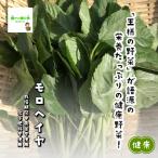 moro разделение ya* пестициды . химия удобрение. использование не делаем Saitama префектура производство 1 пачка примерно 100g