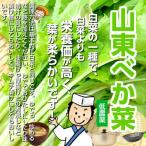  гора восток ... низкий пестициды * химия удобрение не использование 1 пачка 