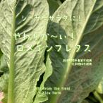  мягкость ~.!ro основной lettuce культивирование период средний пестициды не использование * химия удобрение не использование Saitama префектура производство 1 пакет * лист .1 листов по . становится случается 