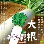  дайкон культивирование период средний пестициды не использование 1 шт.! * лист. порезав есть 