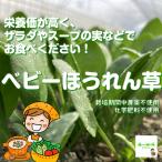  baby шпинат * пестициды . химия удобрение. использование не делаем Saitama префектура производство 1 пакет примерно 40g