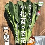 Yahoo! Yahoo!ショッピング(ヤフー ショッピング)小松菜の菜花　低農薬・化学肥料不使用　１束♪