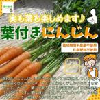  лист имеется морковь ( лист есть морковь ) культивирование период средний пестициды не использование * химия удобрение не использование Saitama префектура производство корень . примерно 10cm и больше. .5шт.@ входить!