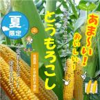 [ жара . время. обычная температура рейс рассылка OK!] кукуруза культивирование период средний пестициды ..( низкий пестициды )* химия удобрение не использование 2 шт ~3шт.@* кожа .... состояние .. доставка будет 