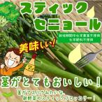  палочка senyo-ru культивирование период средний химия пестициды не использование * химия удобрение не использование примерно 100g!