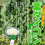 * насекомое еда .. следы . немного есть. после подтверждения . покупка запрос пожалуйста. лист дайкон ( лист дайкон, большой корнеплоды ) культивирование период средний химия пестициды не использование * химия удобрение не использование 1 пачка примерно 200g