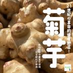 菊芋(キクイモ) 栽培期間中農薬不使用・化学肥料不使用 埼玉県産 1袋約500g♪ ※サイズが小さいものも入っておりますので、予めご了承ください。