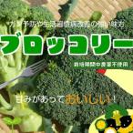  брокколи культивирование период средний пестициды не использование 1 шт 