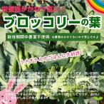  брокколи. лист культивирование период средний пестициды не использование примерно 200g