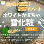  белый тыква снег косметика культивирование период средний пестициды ..( низкий пестициды ) 1 шт 