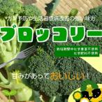  брокколи * химия пестициды . химия удобрение. использование не делаем Saitama префектура производство 1 шт 