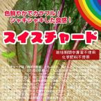 西洋野菜♪　スイスチャード　栽培期間中農薬不使用・化学肥料不使用　1束約２００ｇ