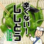 [ жара . время. обычная температура рейс рассылка OK!].. нет! зеленый перец шишито культивирование период средний пестициды ..( низкий пестициды )* химия удобрение не использование 1 пакет!