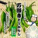 [ жара . время. обычная температура рейс рассылка OK!] десять тысяч . храм перец стручковый . пестициды * химия удобрение не использование 1 пакет! * этот десять тысяч . храм перец стручковый., вид . рассада нет.