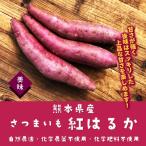 [ жара . время. обычная температура рейс рассылка OK!] Kumamoto префектура производство батат .. .. природа сельское хозяйство закон * химия пестициды не использование * химия удобрение не использование 1 шт.!( или маленький. 2 шт )