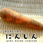  Aomori префектура .. город производство морковь природа культивирование * пестициды не использование * химия удобрение не использование 2L размер 1 шт. 