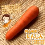  Okayama префектура производство морковь химия пестициды не использование * химия удобрение не использование примерно 200g~ примерно 250g(1~ 2 шт )