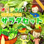 オリジナル!子供も食べれるサラダセット 栽培期間中農薬節減(低農薬) 1袋
