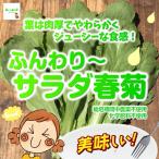  мягкий ~ салат весна .* пестициды . химия удобрение. используя не Saitama префектура производство 1 пакет 