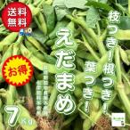 [ бесплатная доставка ] ветка есть! корень есть! лист есть!....( ветка бобы ) культивирование период средний пестициды химия удобрение не использование Saitama префектура производство 7kg[ коробка продажа ] [ другой товар . включение в покупку не возможно ]