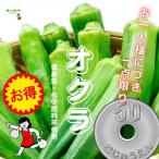 [ жара . время. обычная температура рейс рассылка OK!] абельмош низкий пестициды * химия удобрение не использование Saitama префектура производство 1 пакет 6~9шт.@!